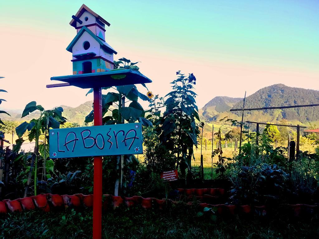 Coliving La Boira Bed & Breakfast Jardín Exterior photo