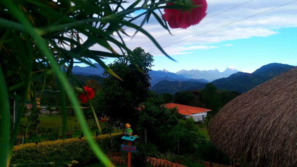 Coliving La Boira Bed & Breakfast Jardín Exterior photo