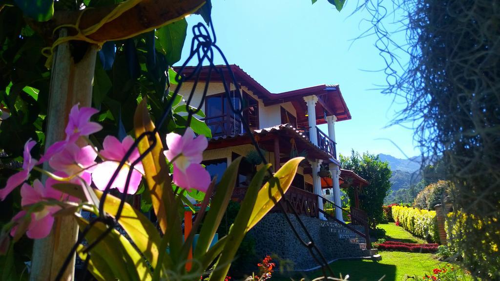 Coliving La Boira Bed & Breakfast Jardín Exterior photo