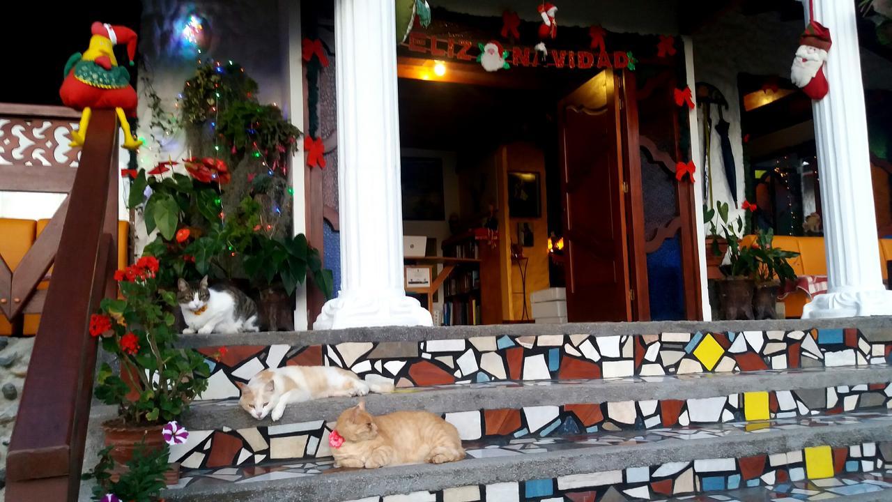 Coliving La Boira Bed & Breakfast Jardín Exterior photo
