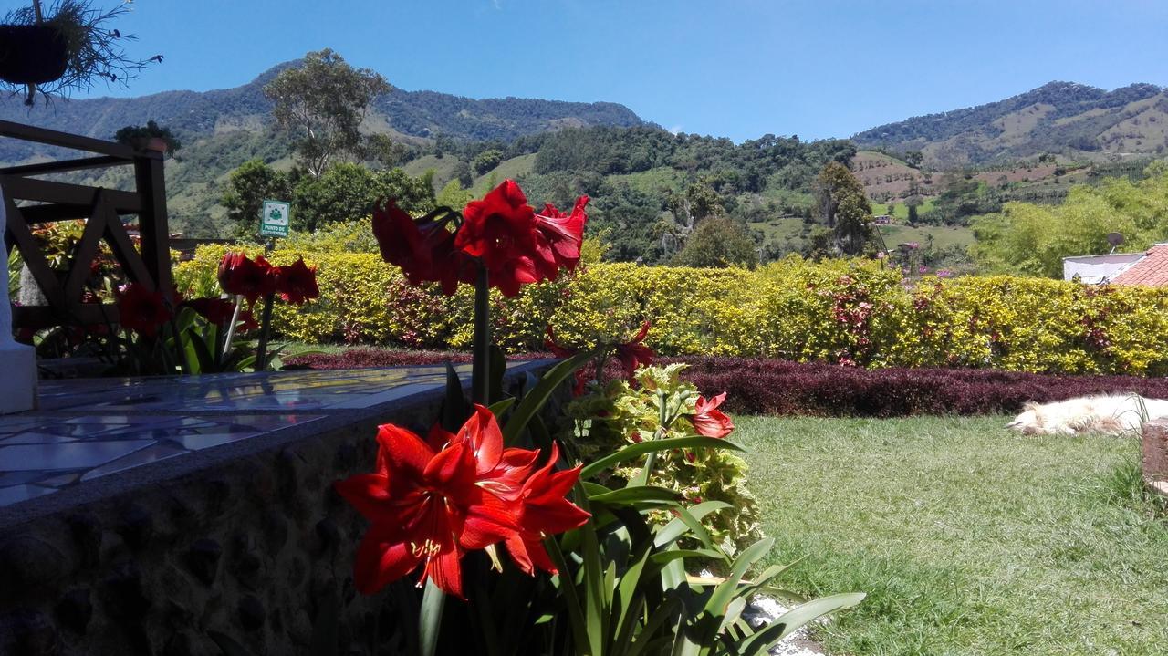 Coliving La Boira Bed & Breakfast Jardín Exterior photo